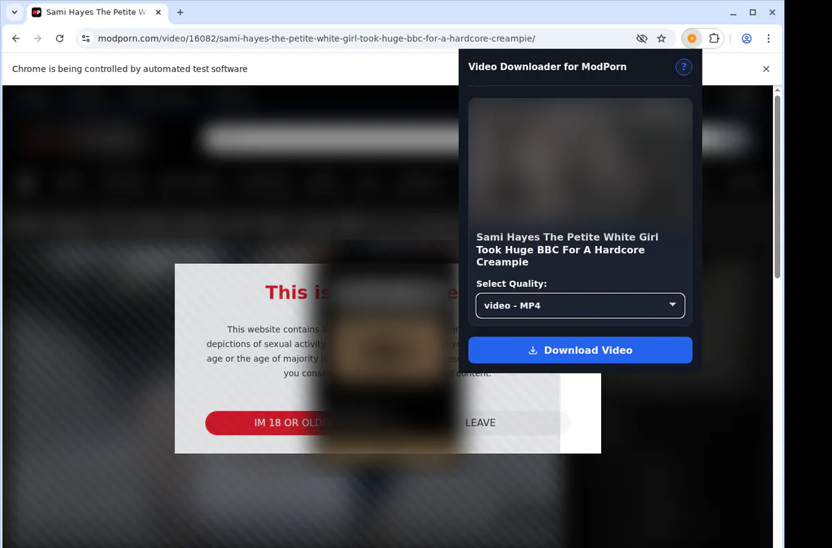 Modporn Video Downloader browser extension screenshot 3